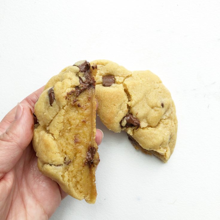 Chocolate Chip Cookie