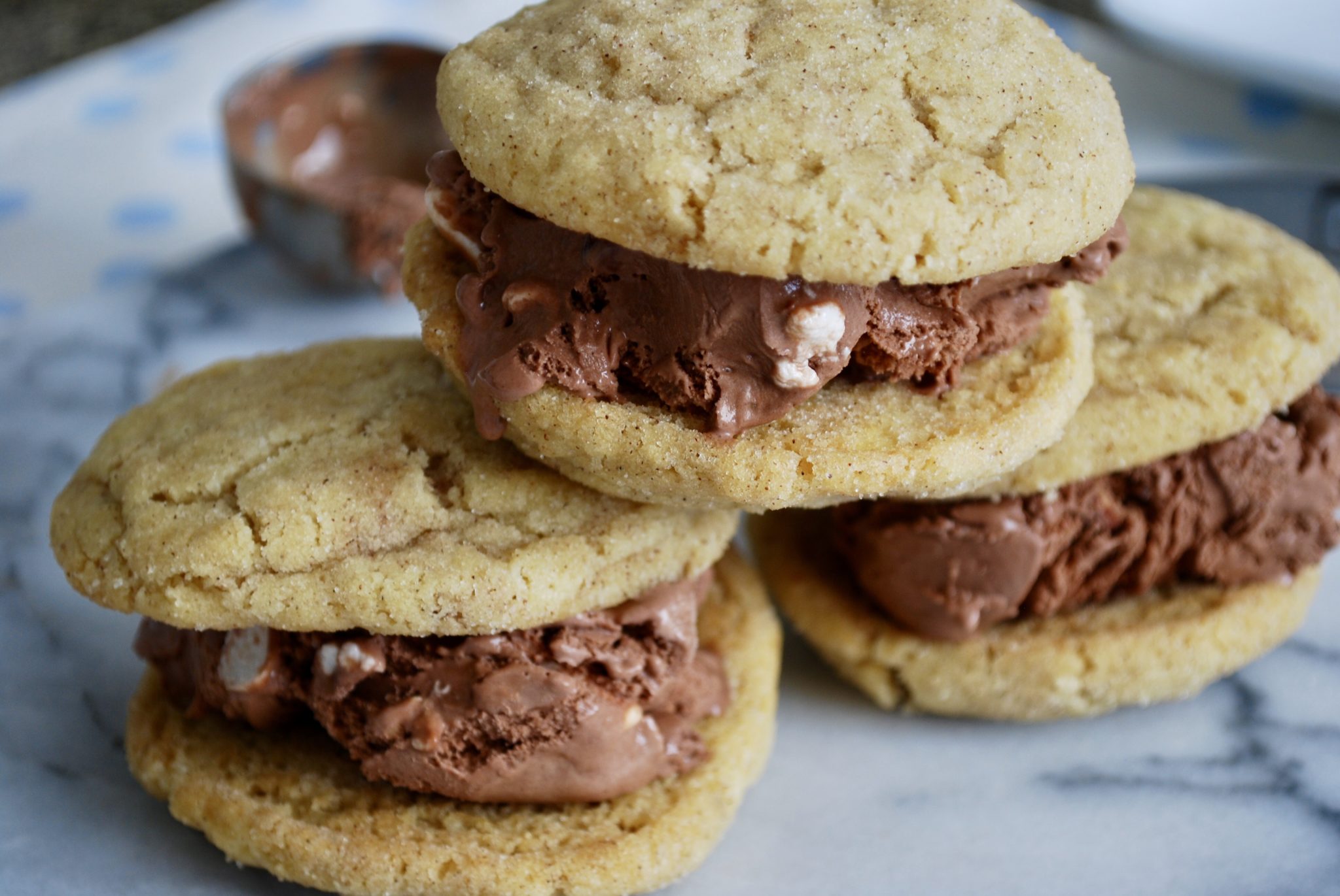 Gluten free ice cream sandwiches recipes.