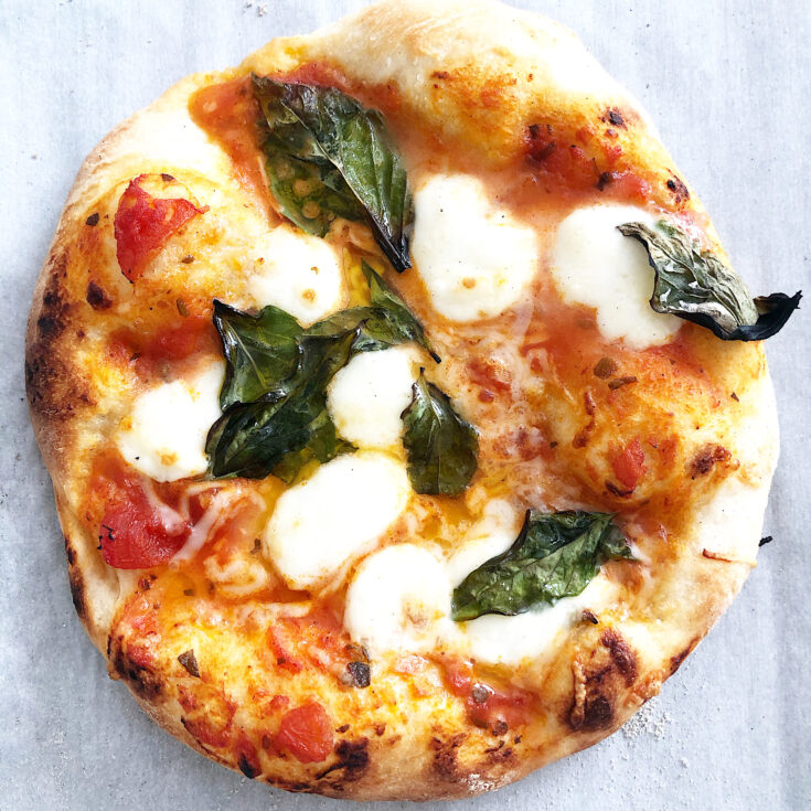 Sourdough Starter Pizza Dough Recipe