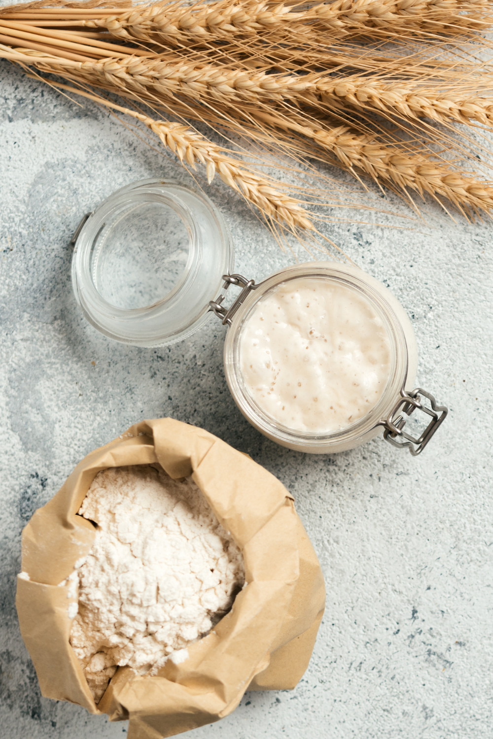 How To Feed Sourdough Starter