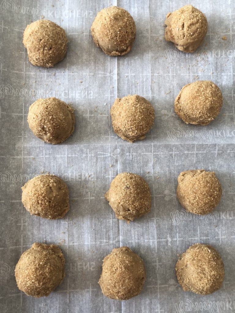 gingerdoodle cookie dough