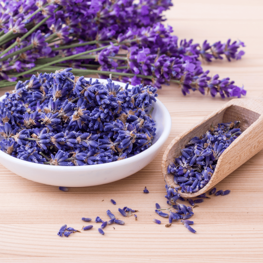 Dried Lavender Flowers 4oz | Culinary Lavender Buds | Edible Lavender for  Baking, Lavender Tea & Lemonade | Food Grade Lavender from France, Gluten