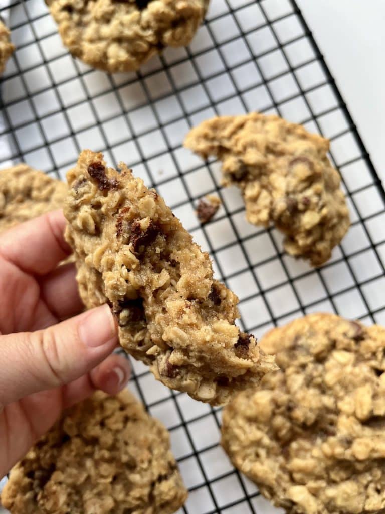 Oatmeal Chocolate Chip Cookie