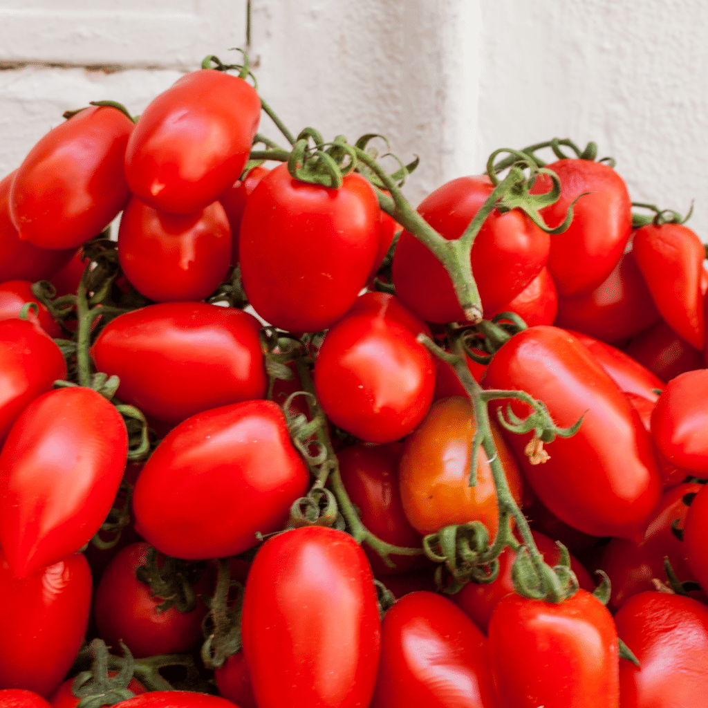 San Marzano Tomatoes