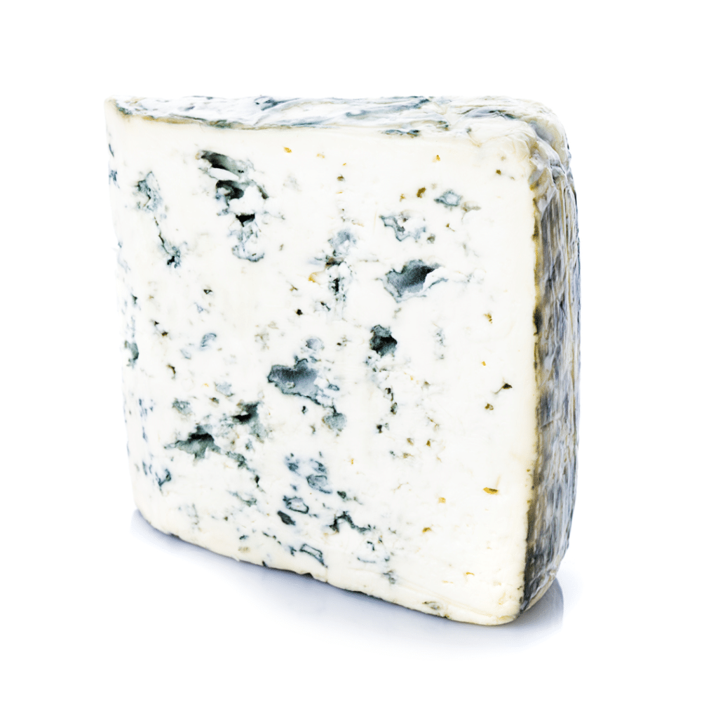 gorgonzola cheese