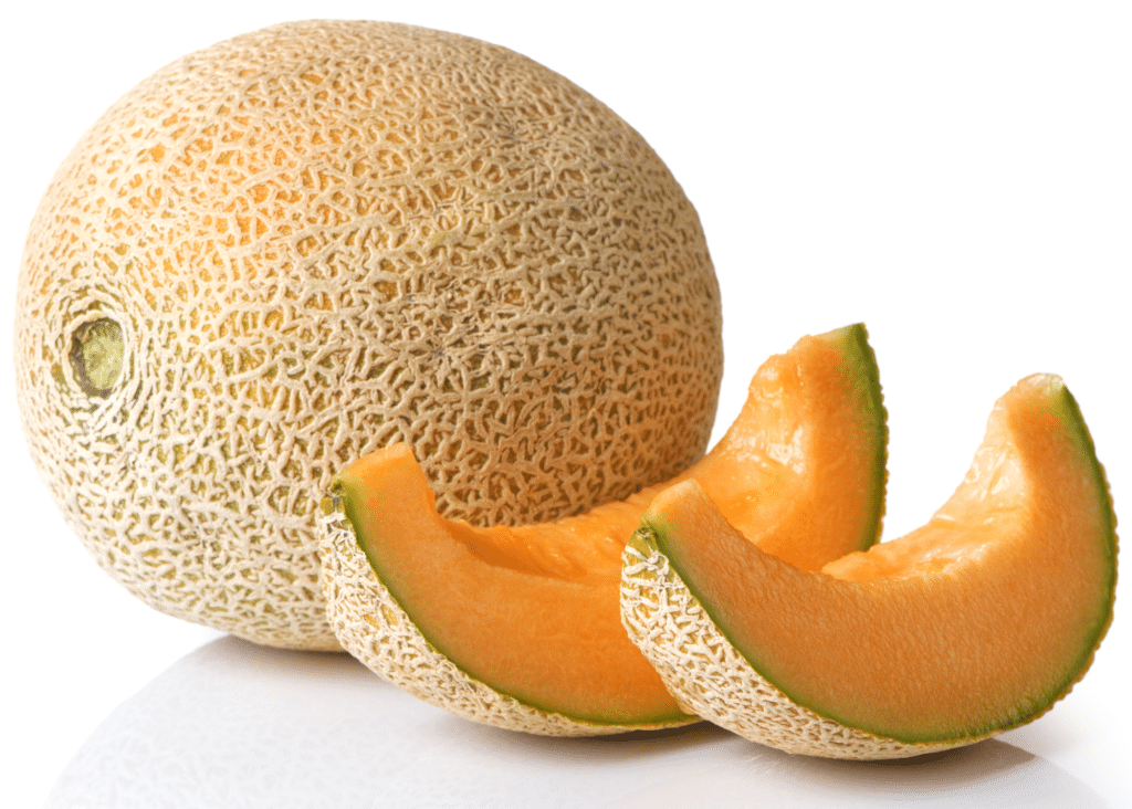 Cantaloupe