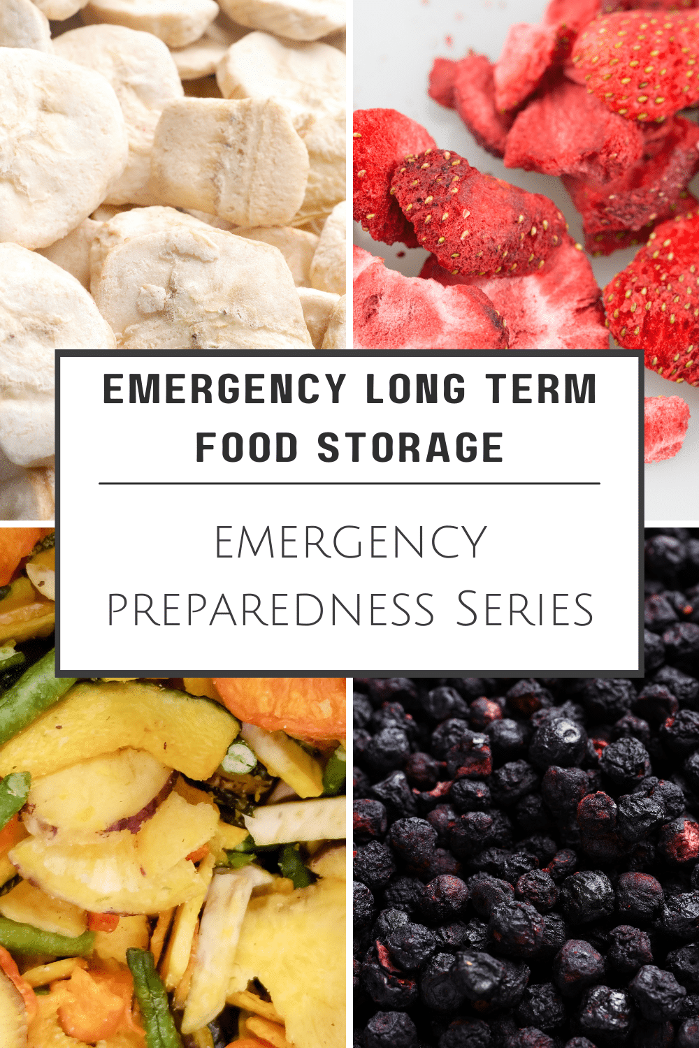 emergency long term food storage