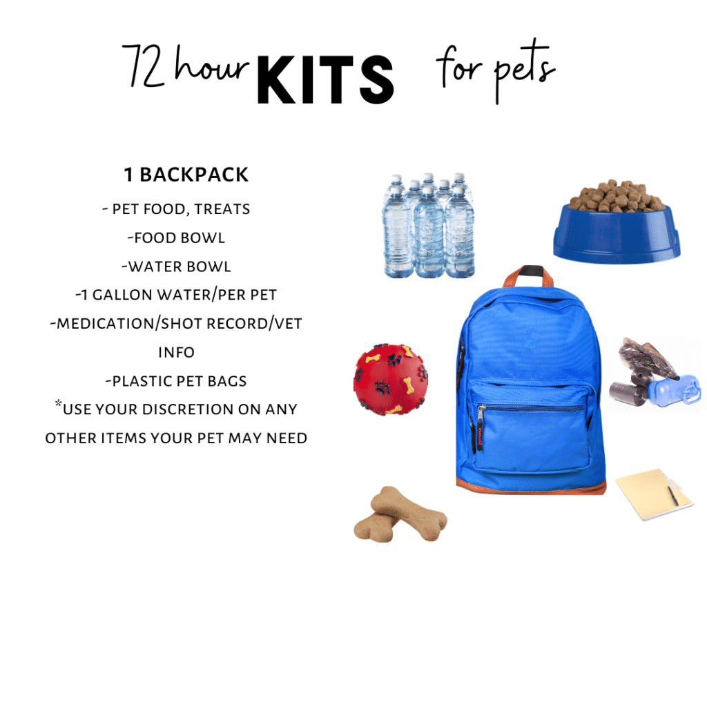 72 hour backpack ideas for pets